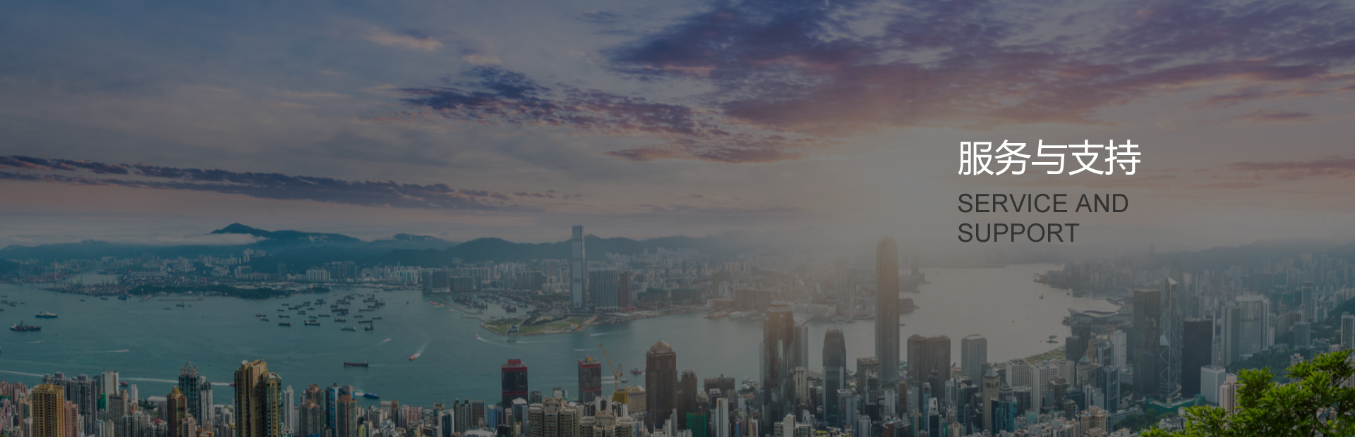 服務與支持